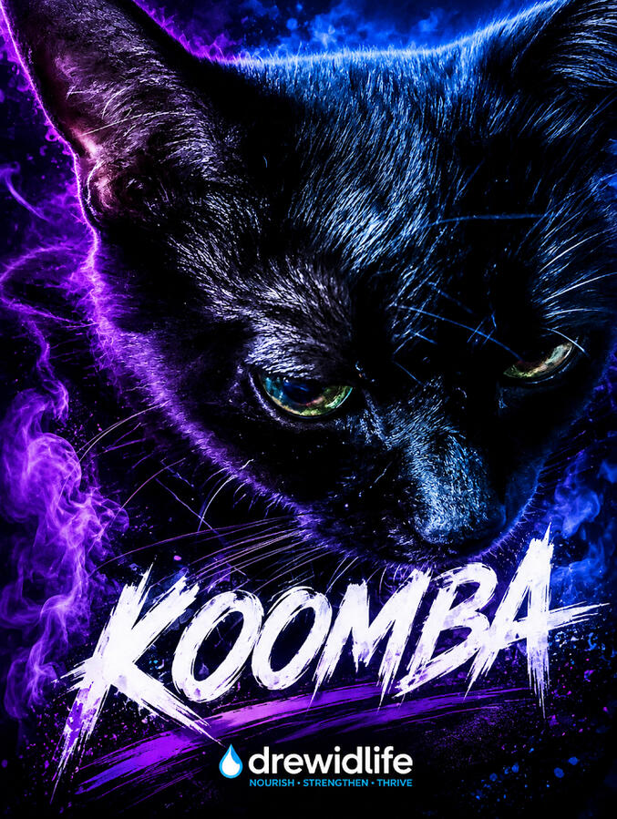 Koomba Koomba